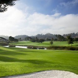 Limberg Golf Instruction