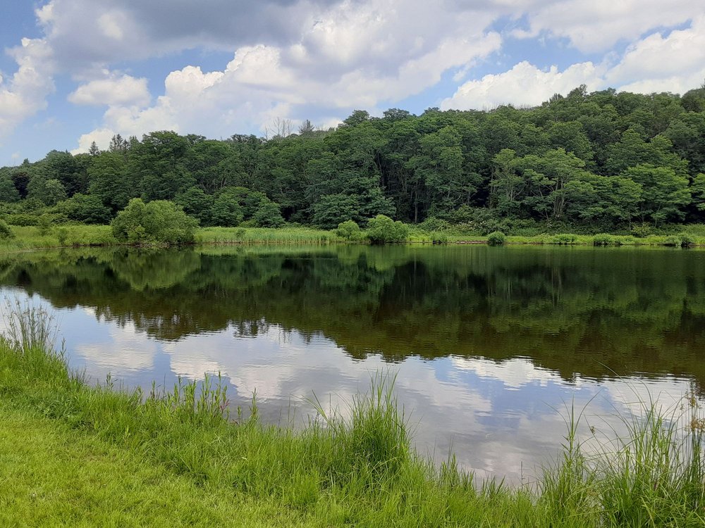 SUNNYBROOK STATE PARK Updated September 2024 21 Photos Newfield