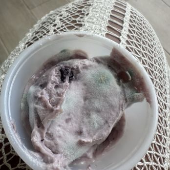 Kai Fresh - Mold all over their cream cheese - Coffee & Tea Near Me - Honolulu, Hawaii
