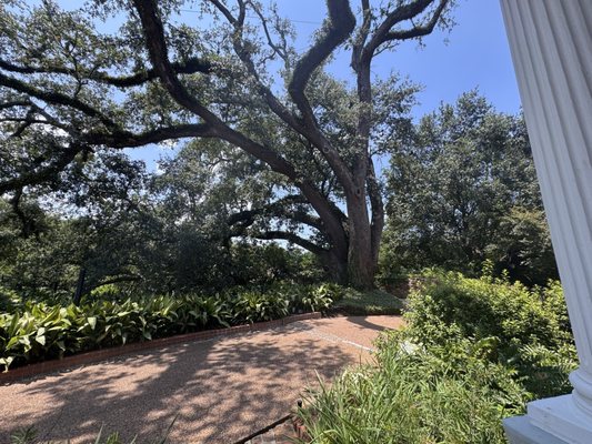 The McFaddin-Ward House Historic Museum by null