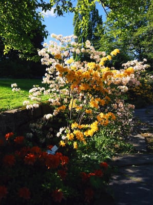 The Botanical Garden by null