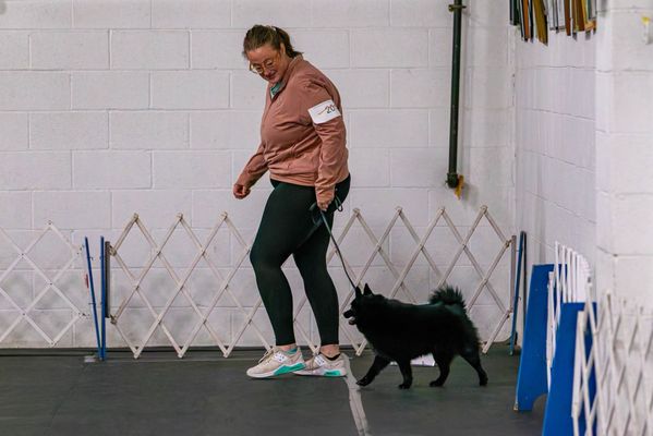 Capital Dog Training Club