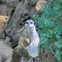 Photo of Zoologischer Garten Eberswalde