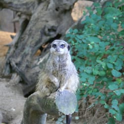 Zoologischer Garten Eberswalde