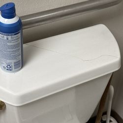 Cracked toilet