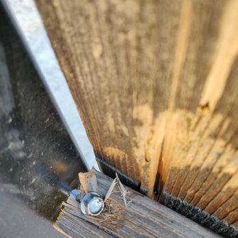 Top Choice Fencing - Absurd! - Fences & Gates Near Me - Fresno, California Top Choice Fencing - Absurd! - Fences & Gates Near Me - Fresno, California