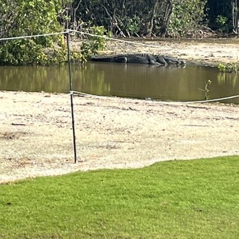 Iberostar Golf - yes thats a crocodile - Golf Near Me - Cancún, ROO