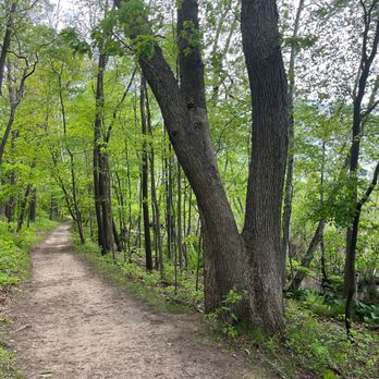 Indiana Dunes State Park - Parks Near Me - Chesterton, Indiana Indiana Dunes State Park - Parks Near Me - Chesterton, Indiana