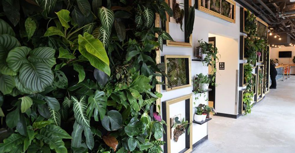 TRELLIS ROOFTOP Updated October 2024 1384 Hird Ave, Lakewood, Ohio