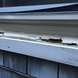 Annapolis King Properties - Damage to exterior windows and cracked/peeling paint (potential lead paint hazard)