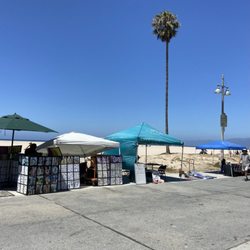 Venice Beach Knights
