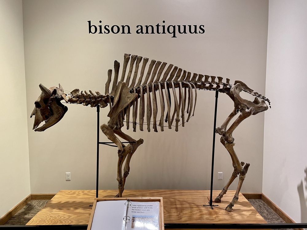 Social spots from North American Bison Discovery Center