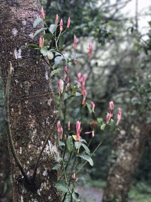Yangmingshan National Park by null