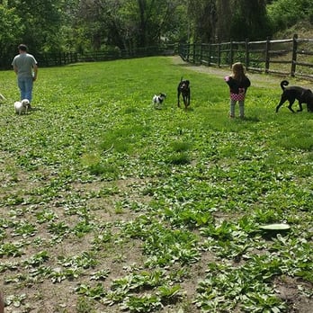 Curtis Hall Dog Park - Dog Parks Near Me - Wyncote, Pennsylvania