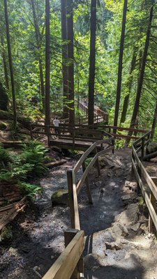 Twin Falls Natural Area by null