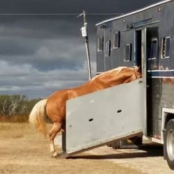 Parlier Trucking