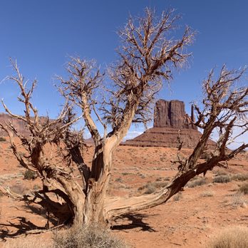 Monument Valley Safari - Tours Near Me - Kayenta, Arizona Monument Valley Safari - Tours Near Me - Kayenta, Arizona