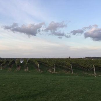 Ravine Vineyard Estate Winery - Wineries Near Me - St Davids, Ontario