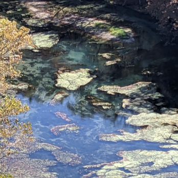 Ha-Ha-Tonka State Park - Spring - Parks Near Me - Camdenton, Missouri Ha-Ha-Tonka State Park - Spring - Parks Near Me - Camdenton, Missouri