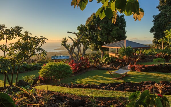 Holualoa Inn by null