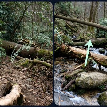 Lee Falls Trailhead - The fight to the waterfalls begin after the 6th creek crossing. Notice the absence of trail on all the pics. - Hiking Near Me - Tamassee, South Carolina