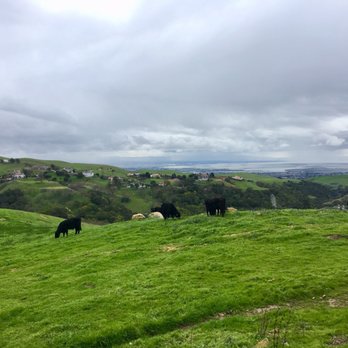 Big Dog Vineyards - Views from outside the winery - Venues & Event Spaces Near Me - Milpitas, California