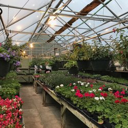 Mint Hill Farms - Greenhouse