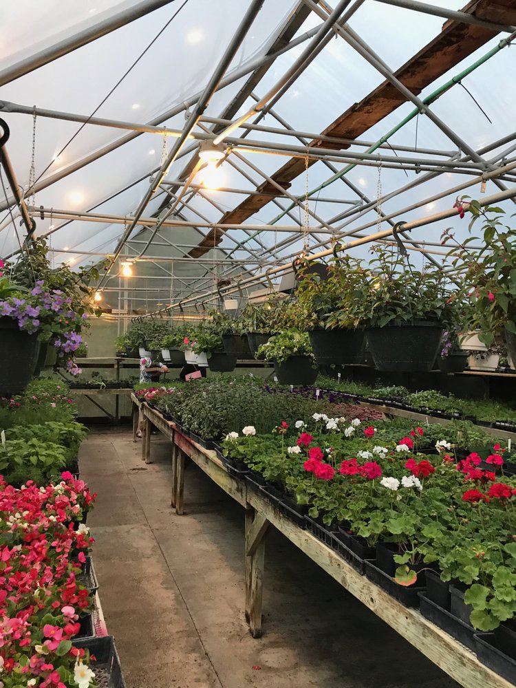 MINT HILL FARMS Updated September 2024 23 Photos 9865 Dodd Rd