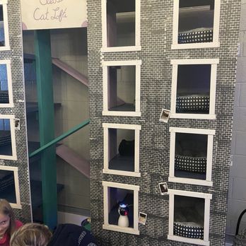 Cleo’s Cat Cafe - Cat hotel - Cafes Near Me - Oak Ridge, Tennessee Cleo’s Cat Cafe - Cat hotel - Cafes Near Me - Oak Ridge, Tennessee