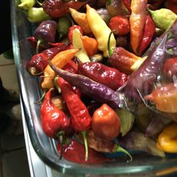Peruvian limo peppers