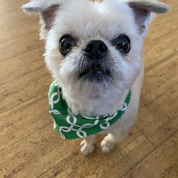 Karabu Pet Grooming - Pet Groomers Near Me - Tucson, Arizona Karabu Pet Grooming - Pet Groomers Near Me - Tucson, Arizona