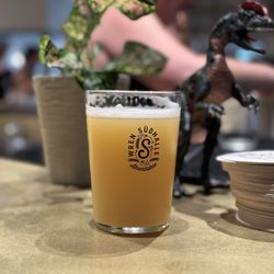 Wren Südhalle - Delicious Spellbinder IPA