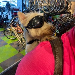 EV Rideables