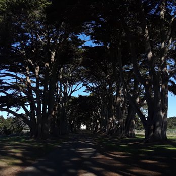 Cypress Tree Tunnel - Parks Near Me - Inverness, California Cypress Tree Tunnel - Parks Near Me - Inverness, California
