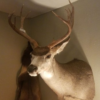 Cedar River Taxidermy - Taxidermy Near Me - Enumclaw, Washington
