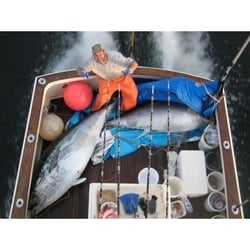 Tuna Hunter Fishing Charters