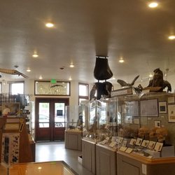 Humboldt State Natural History Museum