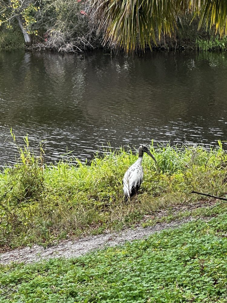 Walter Fuller Park Image
