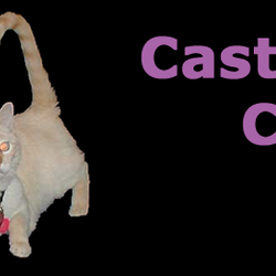 Castle Rock Cat Care & Dog