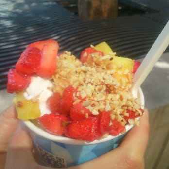 MALU - Big frozen yogurt with fruits and nuts - Ice Cream & Frozen Yogurt Near Me - Vienna, 9