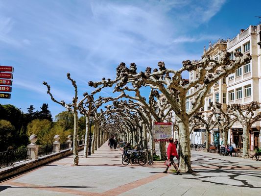 Arco de Santa María by null