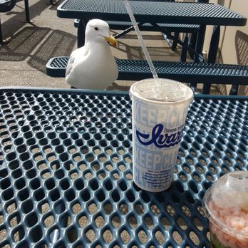 Ivar's Fish Bar - My friend Fred the seagull - Seafood Near Me - Seattle, Washington Ivar's Fish Bar - My friend Fred the seagull - Seafood Near Me - Seattle, Washington
