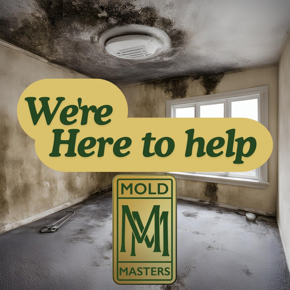 PNW Mold Masters - mold inspector in Portland, OR