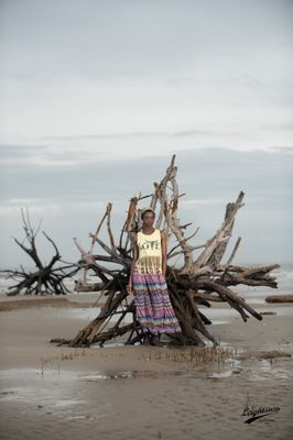 Edisto Beach State Park by null
