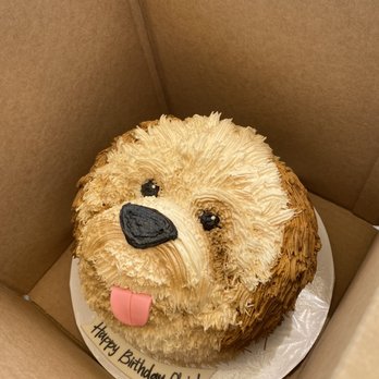 Alliance Bakery & Cafe - Custom dog cake - Bakeries Near Me - Chicago, Illinois Alliance Bakery & Cafe - Custom dog cake - Bakeries Near Me - Chicago, Illinois