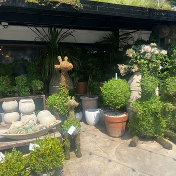 The Empty Vase Florist - Nurseries & Gardening Near Me - West Hollywood, California The Empty Vase Florist - Nurseries & Gardening Near Me - West Hollywood, California
