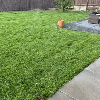 Alpha1 Sprinklers - Sod grass and stamped concrete patio - A backyard features a lush green lawn, a potted plant on a small paved section, and a patio with outdoor furniture, enclosed by a wooden fence. - Irrigation Near Me - Albuquerque, New Mexico