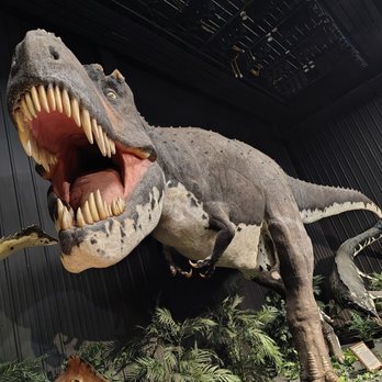 Dinosaur Museum - Museums Near Me - Branson, Missouri