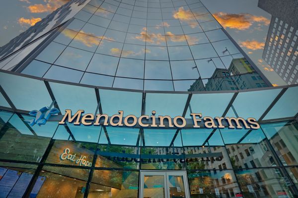 Mendocino Farms by null