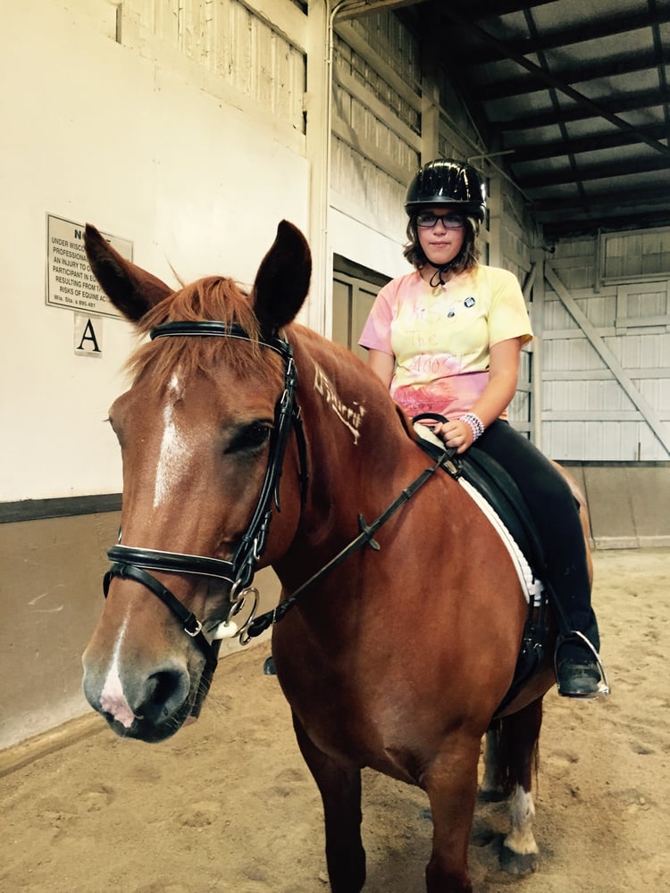 GS Performance Horses - equestrian in Bristol, WI